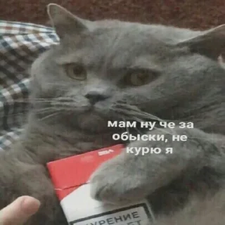 🦠