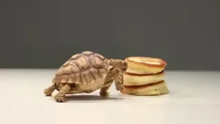 🥞