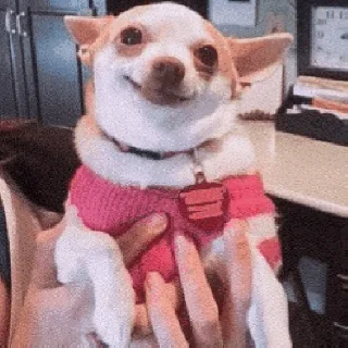 🙂