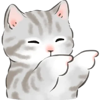 😎