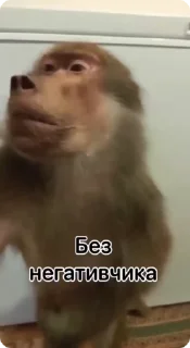 🖐