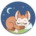😴