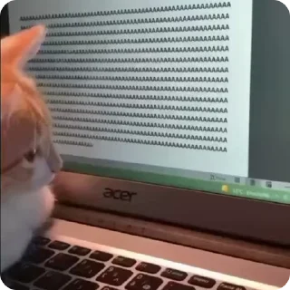 😱