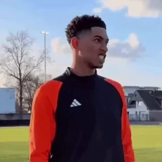 🤍