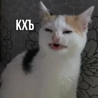 🤨