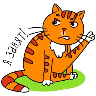 🐱