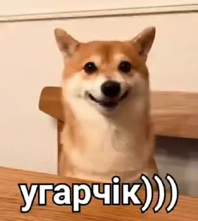 😂