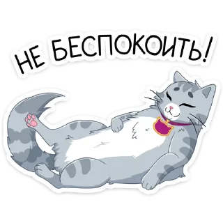😴