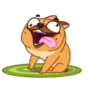 🤪