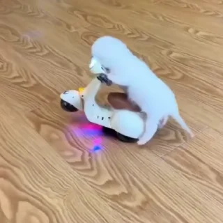 🛵