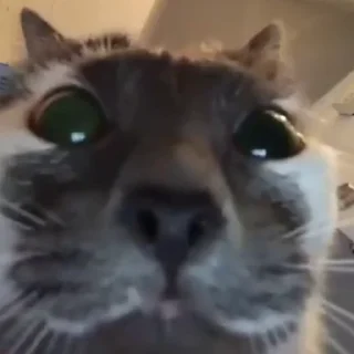😯