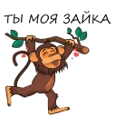 🐒