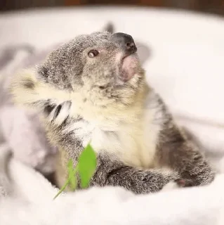 😙