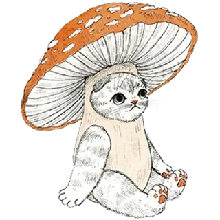 🍄