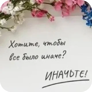 🌸