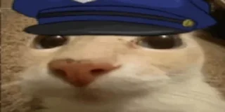 👮‍♂️