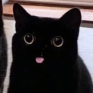 😛