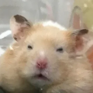 😣