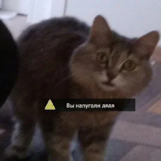 ☝️