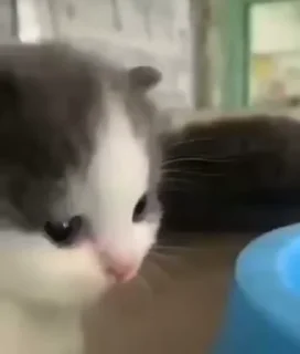 😕