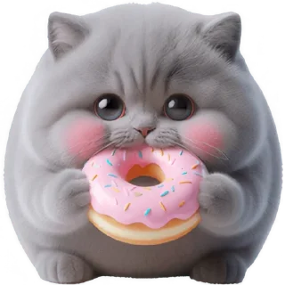 🍩