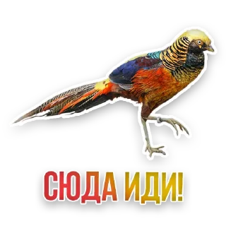 👊