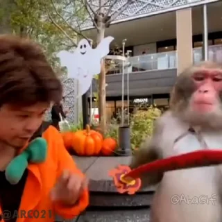 👊