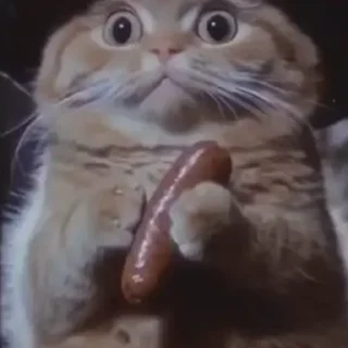 🤤