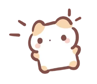 ⭐️