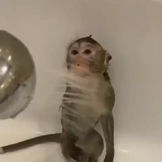 🚿