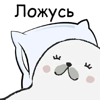 😴