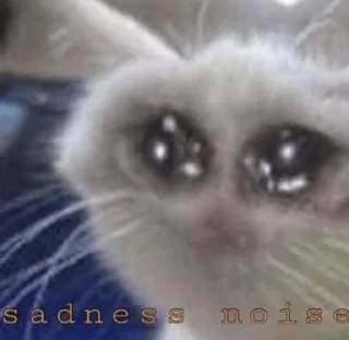 😭