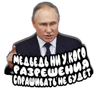 🐻