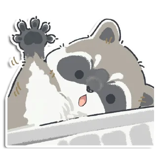 🦝