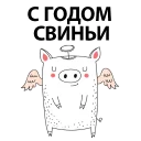 🐷