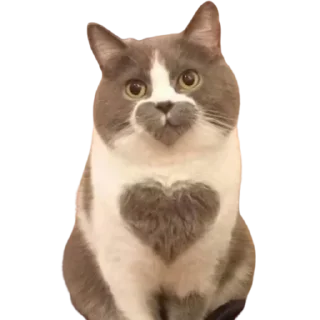 ❤️