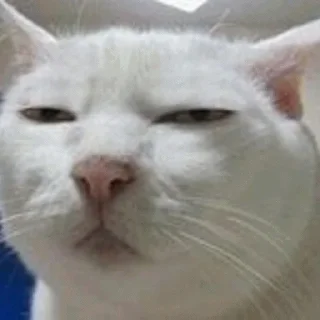 😑