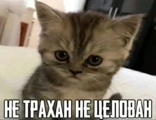 😢