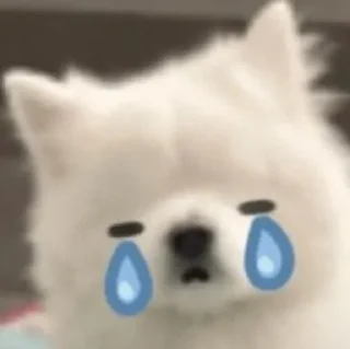 😢