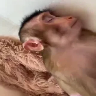 😴
