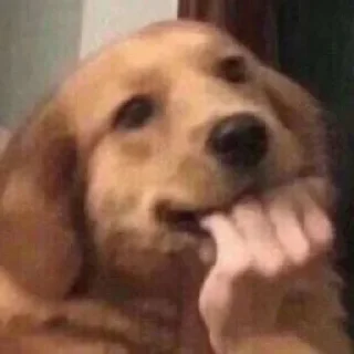 😝