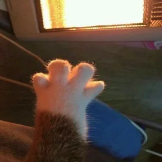 👋