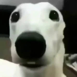 😬