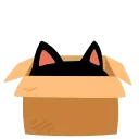 📦