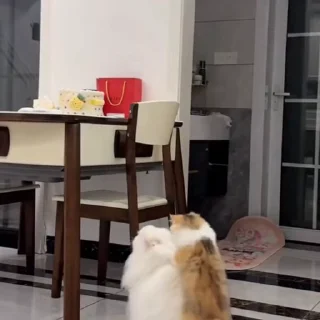 🤩