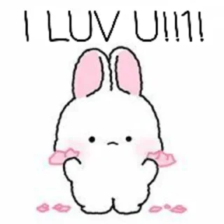 🐇
