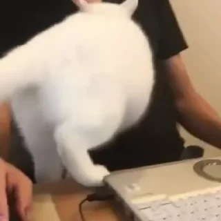 😶