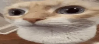 😐