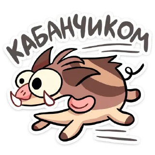 🐗