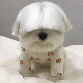 😑